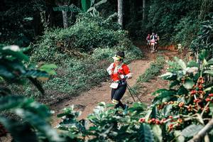 BIB: 
                            <button type="button" onclick="openModal(25855476)" class="btn btn-primary btn-sm float-right btn-popup" data-toggle="modal" data-target=".modal-high-quality">
                        <i class="fas fa-shopping-cart"></i> Add to Cart
                    </button>
                                            <button type="button" onclick="isThisMe(25855476, true)" class="btn btn-success btn-sm float-right btn-popup btn-isme hidden" data-toggle="tooltip" data-placement="bottom" title="นี่คือรูปของคุณใช่ไหม คลิกที่นี่เพื่อเอาเข้าอัลบั้ม">
                        <i class="fas fa-plus"></i> Add to album
                    </button>
                    <button type="button" onclick="isThisMe(25855476, false)" class="btn btn-warning btn-sm float-right btn-popup btn-isnotme hidden">
                        <i class="fas fa-ban"></i> Remove from album
                    </button>